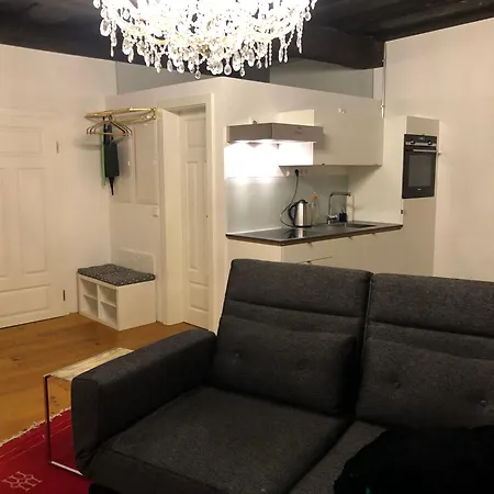 Kleine Residenz 아파트 바이덴